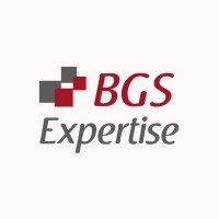 BGS EXPERTISE logo - Similar company to Elyo Conseil