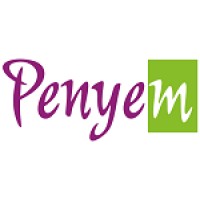 Penyem logo - Similar company to Smesh