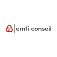 Emfi Conseil logo - Similar company to Antilles Diffusion Informatique