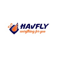 Havfly Services logo - Similar company to Bmdu
