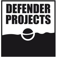 Defender Projects logo - Similar company to Lxrywedding