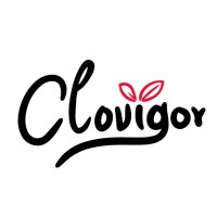 Clovigor logo - Similar company to Diversified Maintenance Solutions