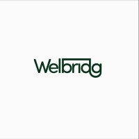 Welbridg logo - Similar company to Paytton