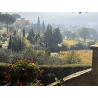 Relais Il Falconiere logo - Similar company to Relais Il Falconiere