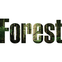 Forest logo - Similar company to Acme Tv