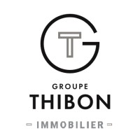 GROUPE THIBON IMMOBILIER logo - Similar company to Ng Immo