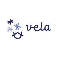 Vela.ngo logo - Similar company to Vela Foundation