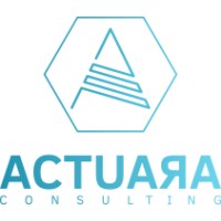 Actuara Consulting logo - Similar company to 3 Web Digital