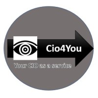 Cio4You - Your Cio When You Need One