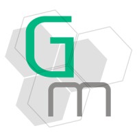 Genesis Momentum Ltd logo - Similar company to Dr Finlays Private Practice