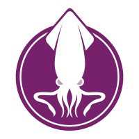 DigiSquid logo - Similar company to Dstech Solutions, Llc