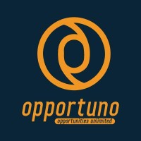 Opportuno Consulting Ltd logo - Similar company to Added Value Group Kenya