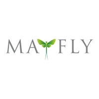 MAYFLY SEARCH LIMITED logo - Similar company to Mayfly Group