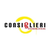Consiglieri Private Limited logo - Similar company to Shadow Director