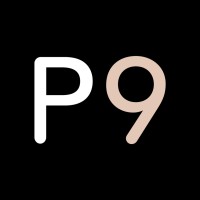 Planet Nine Private Air logo - Similar company to Prima Air