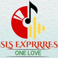 SLS Exprrres logo - Similar company to Naija Tech Brain