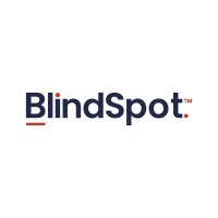 BlindSpot Marketing Services logo - Similar company to Assayindia.Com
