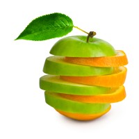 Food Data Services logo - Similar company to Data For Food