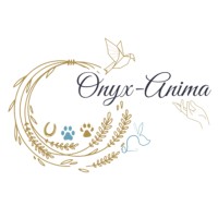 Onyx-Anima logo - Similar company to C-Nesoa
