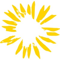 Shine Creative logo