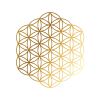 LESFINESFLEURS.FR logo - Similar company to Polyprint Studio