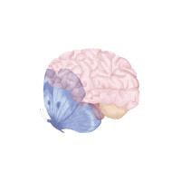 NeuroFlutter logo - Similar company to Precisionmed