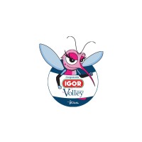 Igor Volley Novara logo - Similar company to Emma Villas Volley Siena