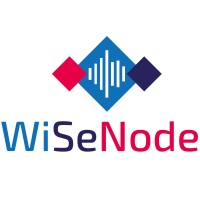 Wisenode logo - Similar company to Dou Hr & Coaching