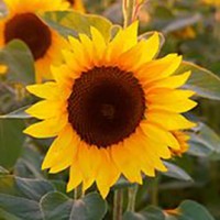 Steuerberater-Kanzlei Krössner