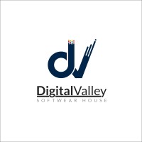 digital Valley logo - Similar company to Perfect Coder