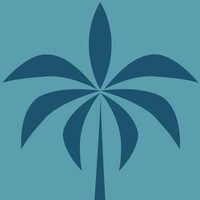 PALM Wealth Pty Ltd logo - Similar company to Ah Financial Group