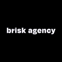 Brisk Agency logo - Similar company to Brisk Solution