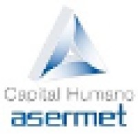 Asermet S.A. de C.V. logo - Similar company to Agensa