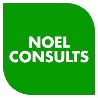 Noel Consults logo - Similar company to Dc Vote
