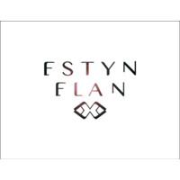 Estyn Elan Studio logo - Similar company to Tudor Lewis