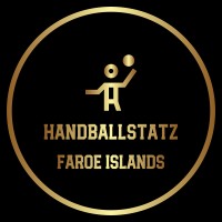 Handballstatz logo - Similar company to Ordient