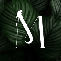 Monkey Creations logo - Similar company to Future Fox Gmbh