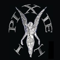 Pixie IT logo - Similar company to Pixie Services