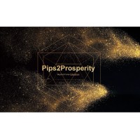 Pips2Prosperity logo - Similar company to Finrisk Square