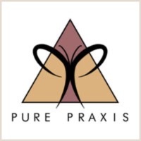 Pure Praxis logo - Similar company to Rogue Round Table