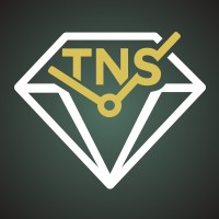 TNS Diamonds logo - Similar company to Commercial Acceleration Ltd