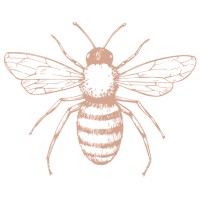 Homelius logo - Similar company to Iboo Studio