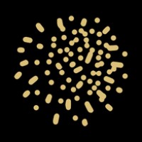 Misfit Movies logo - Similar company to Rotovr