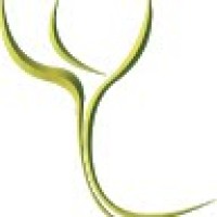 LifeClin Clínica de Psicologia e Especialidades logo - Similar company to Clínica Dnll