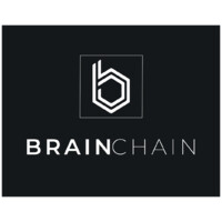 BrainChain logo - Similar company to Brainchain