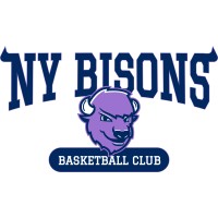 New York Bisons Basketball Club logo - Similar company to Delta Dubs