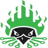 RVAsec logo - Similar company to Rotas Security
