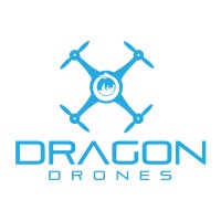 Dragon Drones logo - Similar company to Lapmaster Wolters Limited