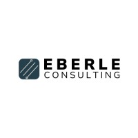 Eberle Consulting GmbH & Co. KG