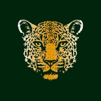 Jaguar Solutions logo - Similar company to Bright Technologies Llc